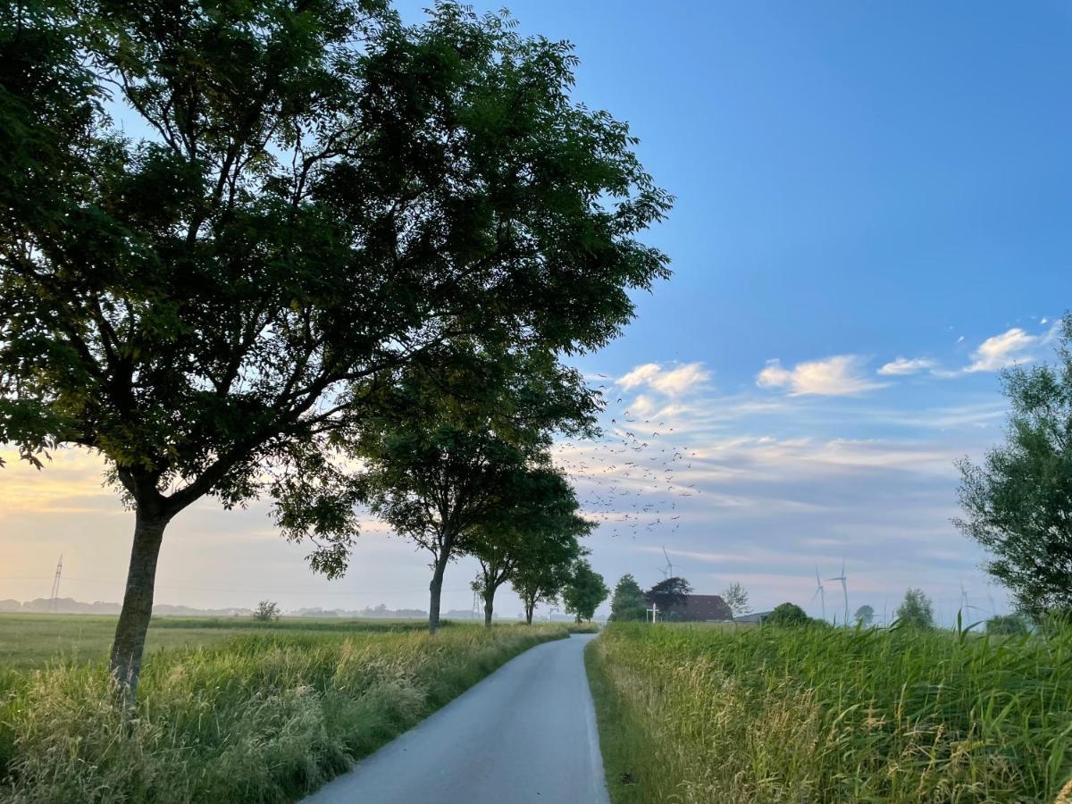 Meerwunder Schillig Bagian luar foto